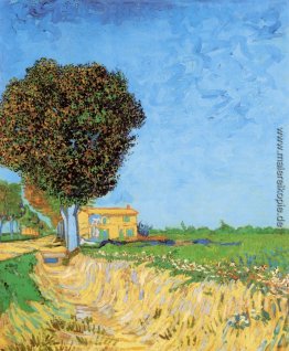 Ein Weg nahe Arles Ein Weg nahe Arles