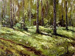 Sommer Wald Sommer Wald