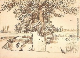 Landschaft mit einem Baum im Vordergrund Landschaft mit einem Baum im Vordergrund