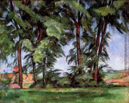 Tall Trees im Jas de Bouffan Tall Trees im Jas de Bouffan