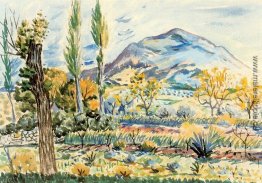 Fique Landschaft Fique Landschaft