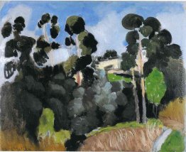 Landschaft Landschaft