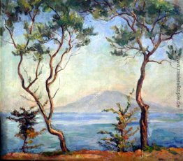 Sorrento. Vesuv. Zwei Ölbäume. Sorrento. Vesuv. Zwei Ölbäume.