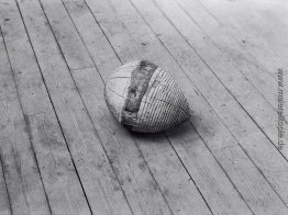 Baum-Samen- Baum-Samen-