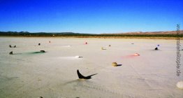 Rock and Pigment Installations Rock and Pigment Installations