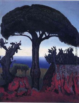 Baum von Nizza Baum von Nizza