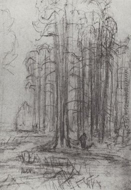 Waldlandschaft Waldlandschaft