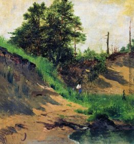 Landschaft Landschaft
