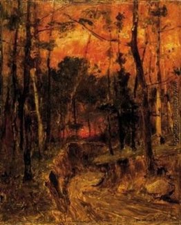 Sonnenuntergang im Wald Sonnenuntergang im Wald