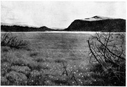 Myren Ved Solevatnet Myren Ved Solevatnet