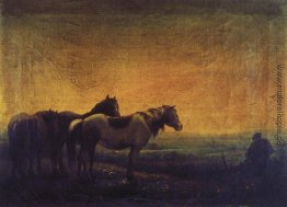 Nacht Nacht