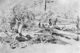 Gefallener Baum Gefallener Baum