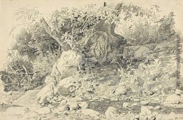 Creek in Gurzuf Creek in Gurzuf