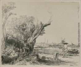 Blick auf Omval, in der Nähe von Amsterdam Blick auf Omval, in der Nähe von Amsterdam