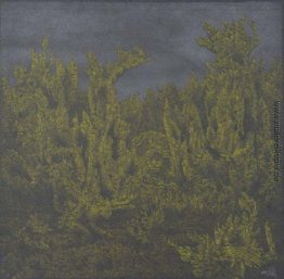 Farnlandschaft Farnlandschaft