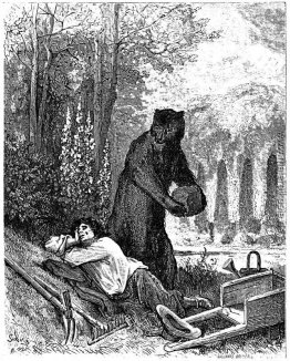 Amateur Von Garden Amateur Von Garden