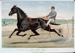 Gefeiert trotter Jay Eye See Gefeiert trotter Jay Eye See