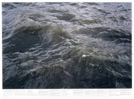 Untitled (aus der Serie Still Water (Die Themse, zum Beispiel)) Untitled (aus der Serie Still Water (Die Themse, zum Beispiel))