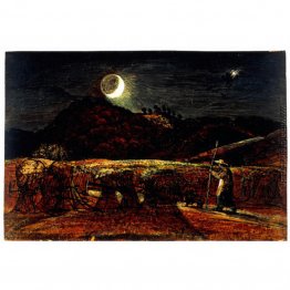 Ein Getreidefeld durch Mondschein mit dem Evening Star Ein Getreidefeld durch Mondschein mit dem Evening Star