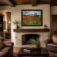 Feld mit Mohnblumen — Italienische Villa