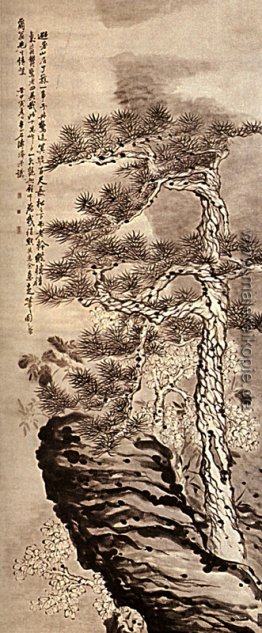 Pin auf der Klippe Pin auf der Klippe