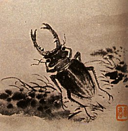 Studium der Insekten, Käfer Studium der Insekten, Käfer