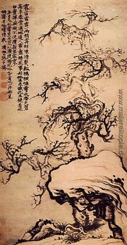 Prunus zwischen den Felsen Prunus zwischen den Felsen