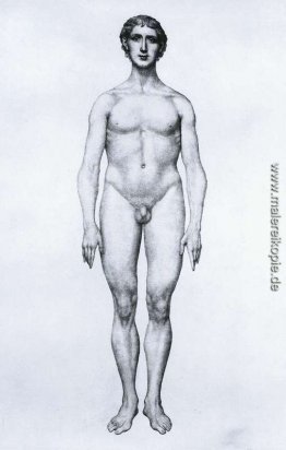 Studium der menschlichen Figur, Ansicht von vorne, von "einem Ve Studium der menschlichen Figur, Ansicht von vorne, von "einem Ve