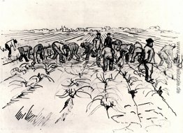Die Landwirte, die im Bereich Die Landwirte, die im Bereich