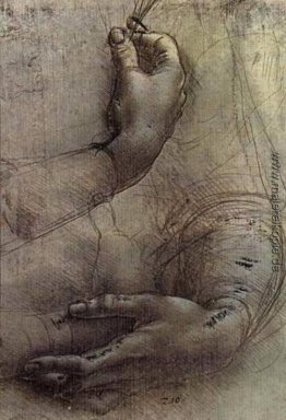 Studium der Arme und Hände, eine Skizze von da Vinci im Volksmun Studium der Arme und Hände, eine Skizze von da Vinci im Volksmun
