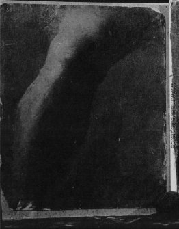 Study of a Leg Study of a Leg