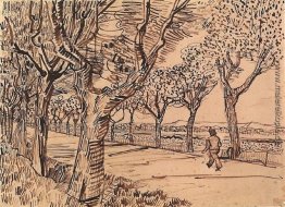 Die Straße zu Tarascon Die Straße zu Tarascon