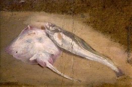 Study of Fish, Skate und Cod Study of Fish, Skate und Cod