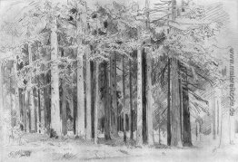 Wald Wald