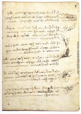 Codex auf dem Flug der Vögel Codex auf dem Flug der Vögel