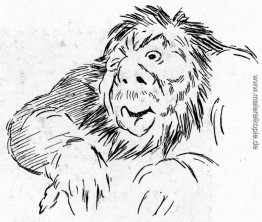 Trollstudie Trollstudie