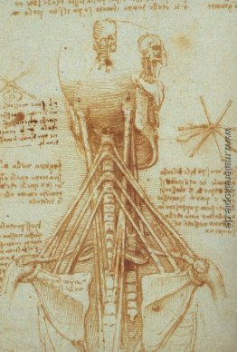 Anatomie des Halses Anatomie des Halses