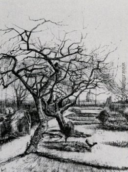 Parsonage-Garten Parsonage-Garten