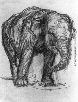Elefant Elefant