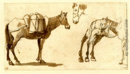 Zeichnung von Maultieren, darunter eine in voller Länge Zeichnung von Maultieren, darunter eine in voller Länge