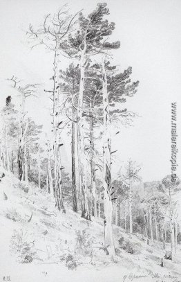 An der Spitze der Ai-Petri An der Spitze der Ai-Petri
