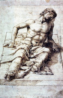 Studie für ein Christ Studie für ein Christ