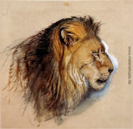 Lion-Profile aus dem Leben Lion-Profile aus dem Leben