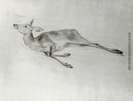 Hirsch Hirsch