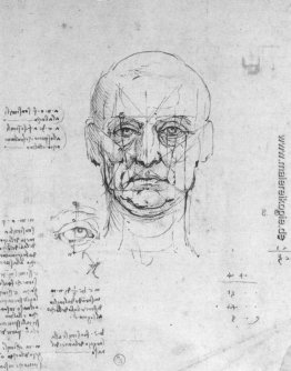 Studie über die Proportionen des Kopfes und der Augen Studie über die Proportionen des Kopfes und der Augen