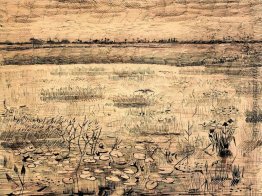 Marsh mit Wasser Lillies Marsh mit Wasser Lillies