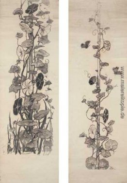 Motten und Convolvulus (Thumbnail-Platten) Motten und Convolvulus (Thumbnail-Platten)