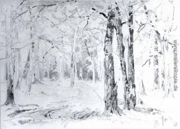 Die Straße im Wald Die Straße im Wald