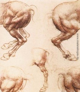 Studie der Pferde Studie der Pferde