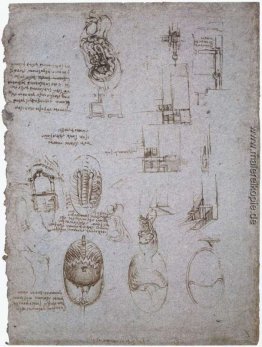 Studien der Villa Melzi und anatomische Studie Studien der Villa Melzi und anatomische Studie